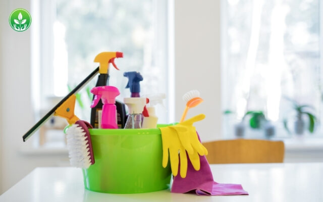 Xử Lý Mùi Hôi Chuyên Nghiệp - Mới Nhất Tại Sài Gòn Xanh